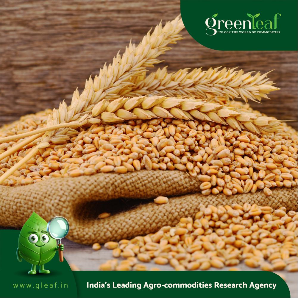 India's Wheat Procurement Reaches 6 Million Tonnes in 2025-26