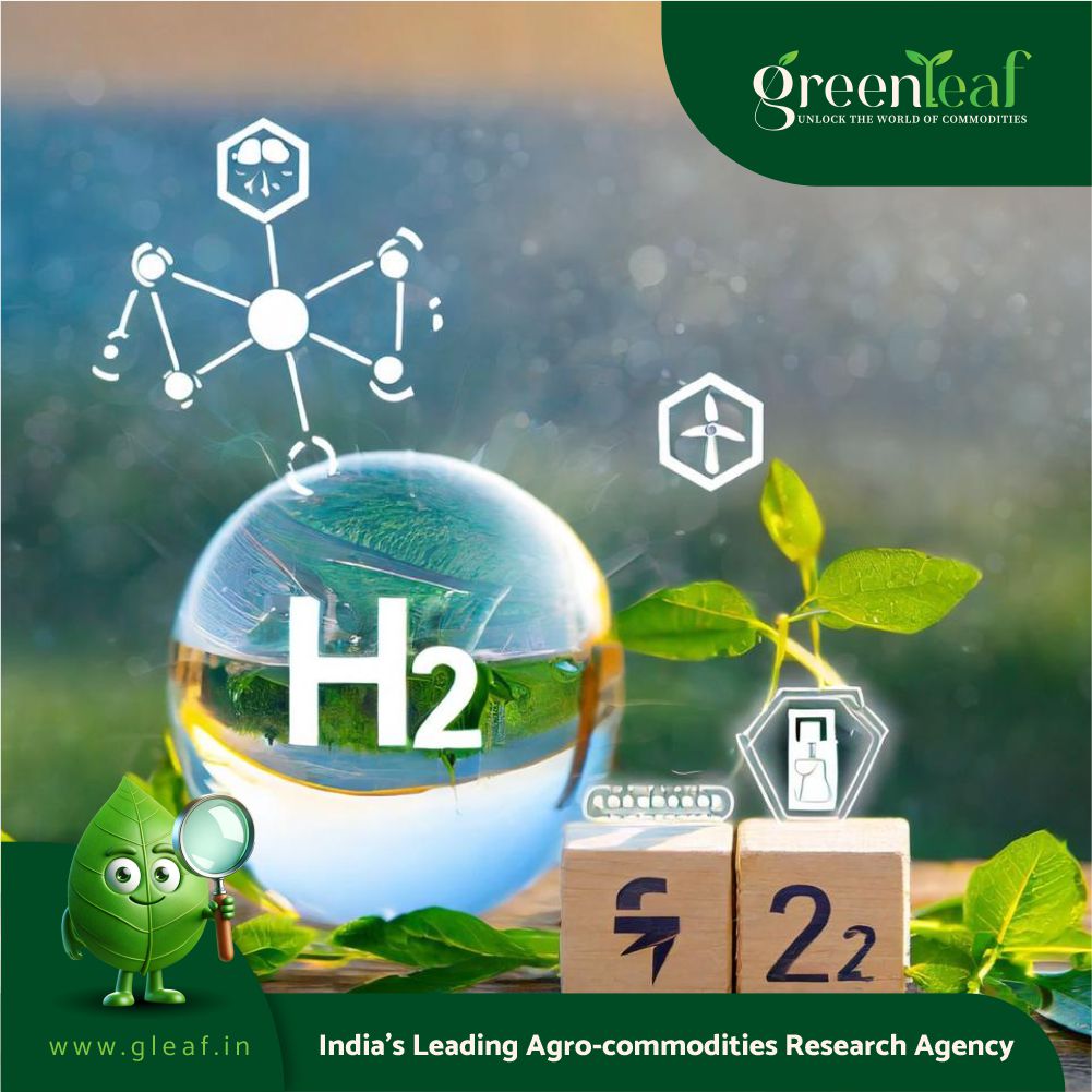 Green Hydrogen Manufacturing Plant Project Report 2024 - GreenLeaf