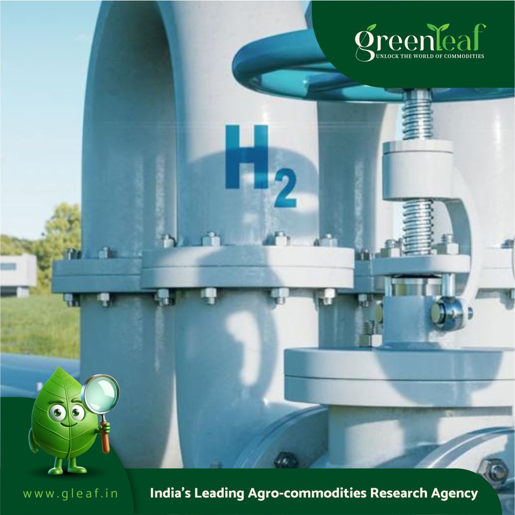 Sonangol, Conjuncta, CWP, Gauff Sign Green Hydrogen Deal at Angola Oil ...