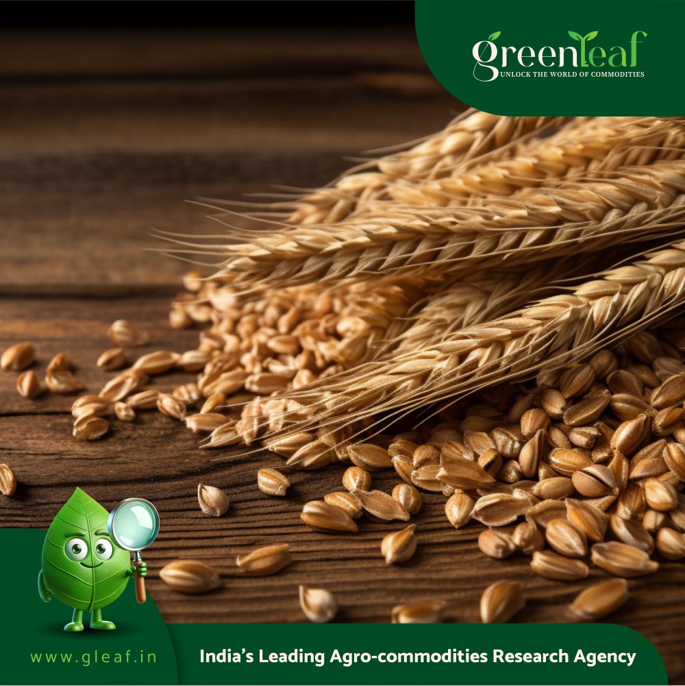 2 wheat varieties developed by Indore IARI among 109 crops released by ...
