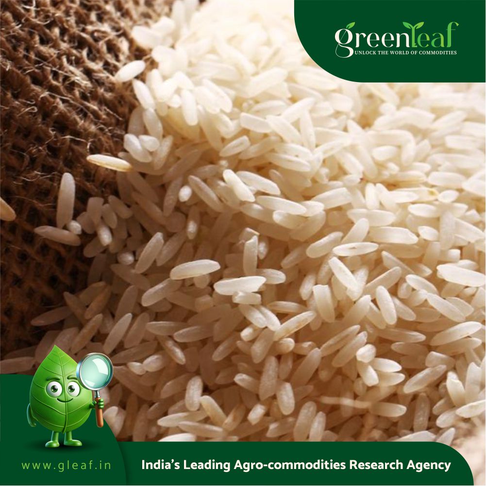 Why direct seeding of rice (DSR) is yet to pick up in Punjab