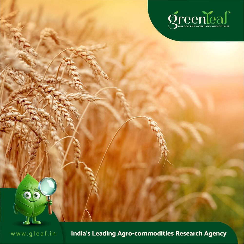 Wheat procurement starts on a brisk note in Madhya Pradesh, Rajasthan